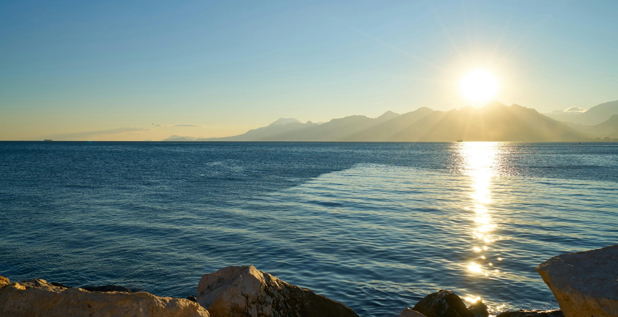 Synergy Health Coaching - About me