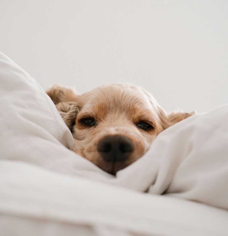 Synergy Health Coaching - How are you feeling today?