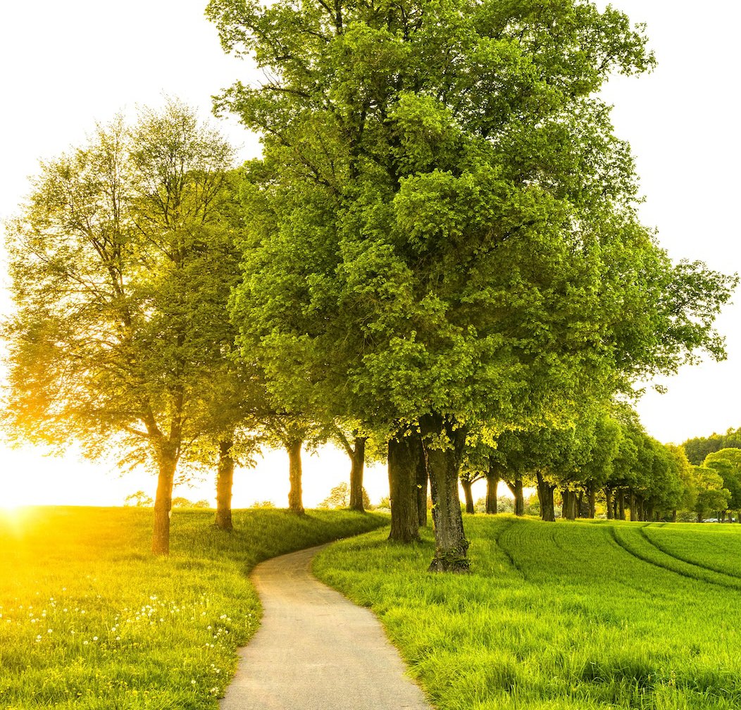 Synergy Health Coaching - Your path to wellness